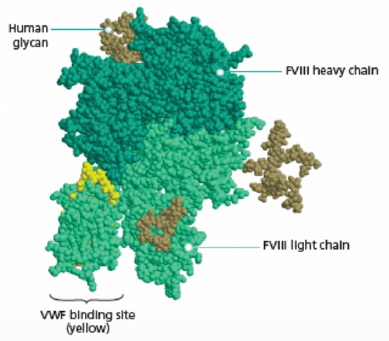 NUWIQ® FVIII Replacement Therapy | Standard of Care for Hemophilia A